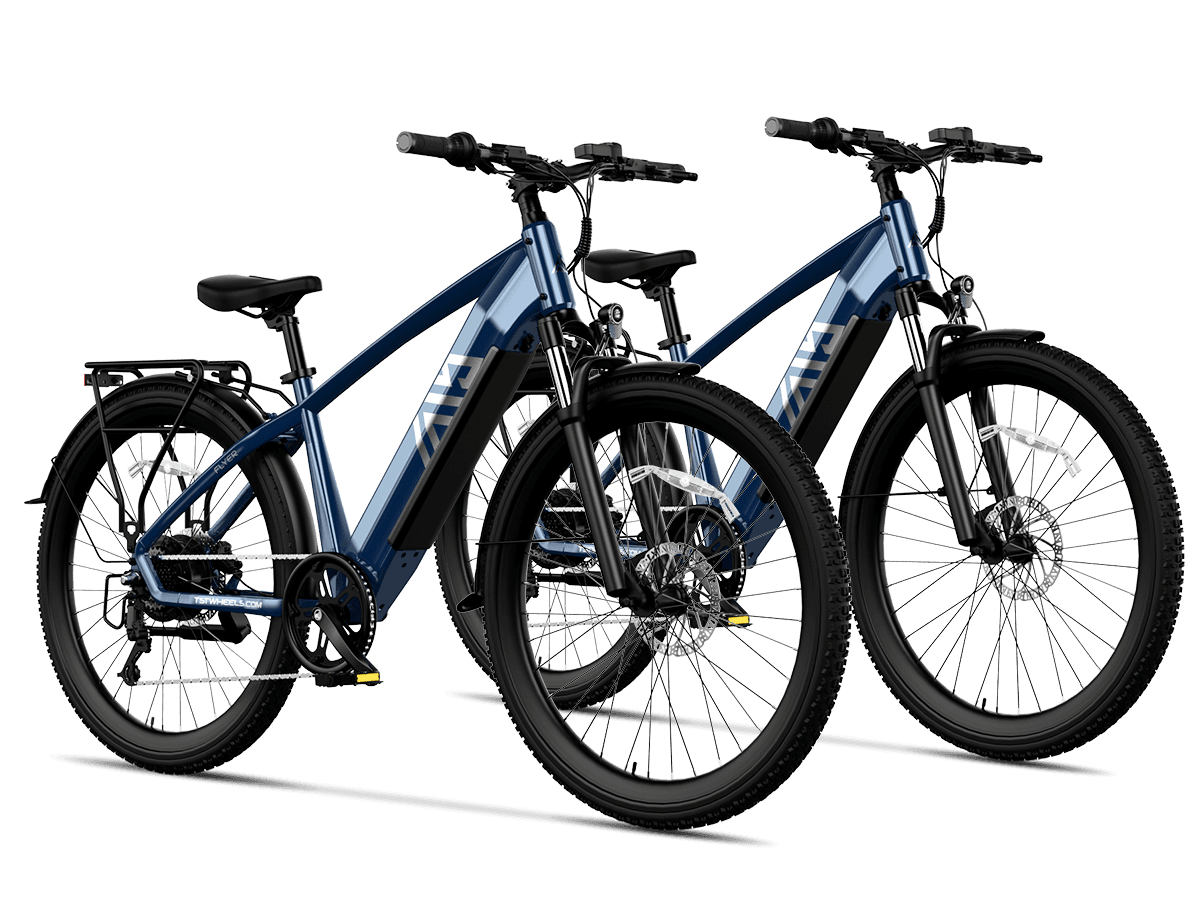 TST Combo Sale Flyer 27.5" Commuter Convenience EBike