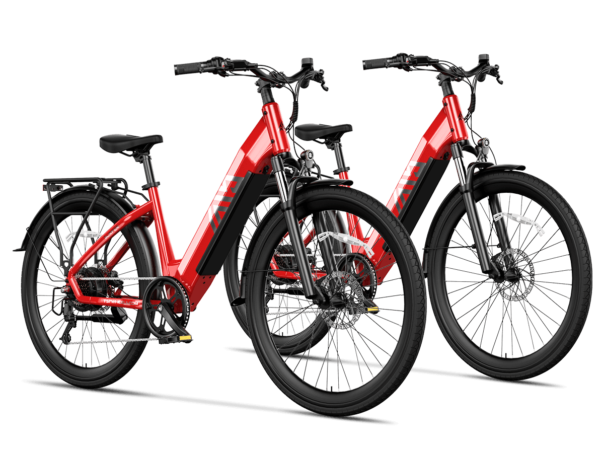 Combo Sale Electric Bike