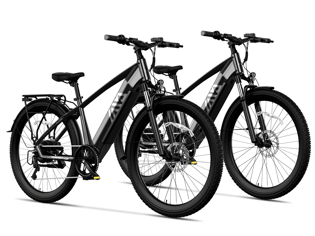 Combo Sale Electric Bike