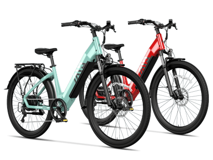 Combo Sale Electric Bike