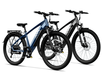 Combo Sale Electric Bike