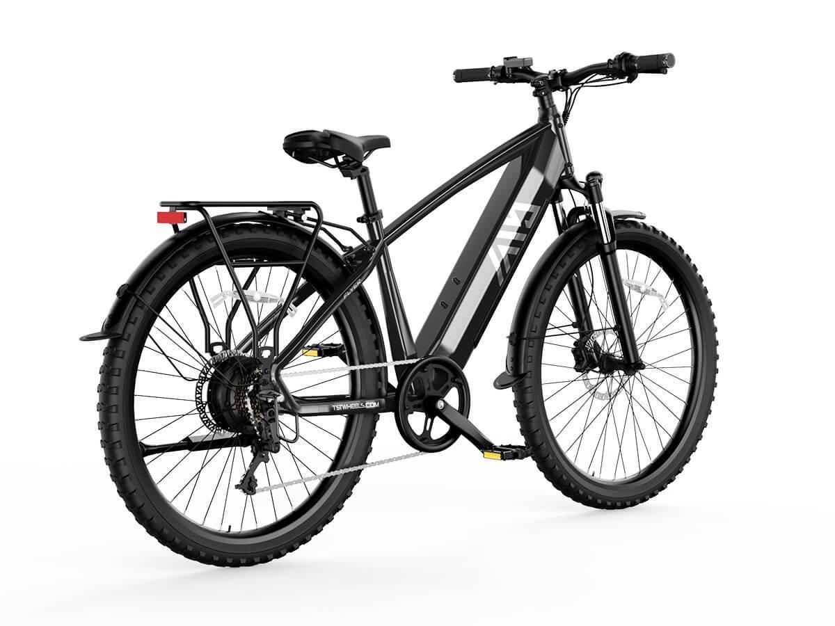 Combo Sale Electric Bike