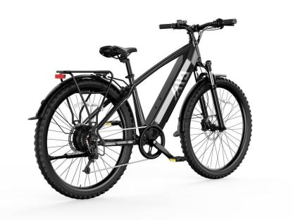 Combo Sale Electric Bike