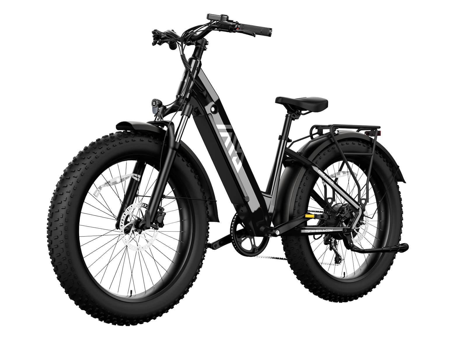 Combo Sale Electric Bike