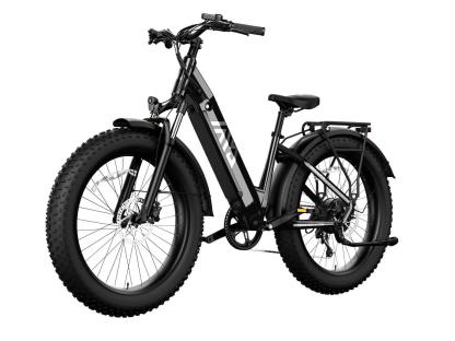 Combo Sale Electric Bike
