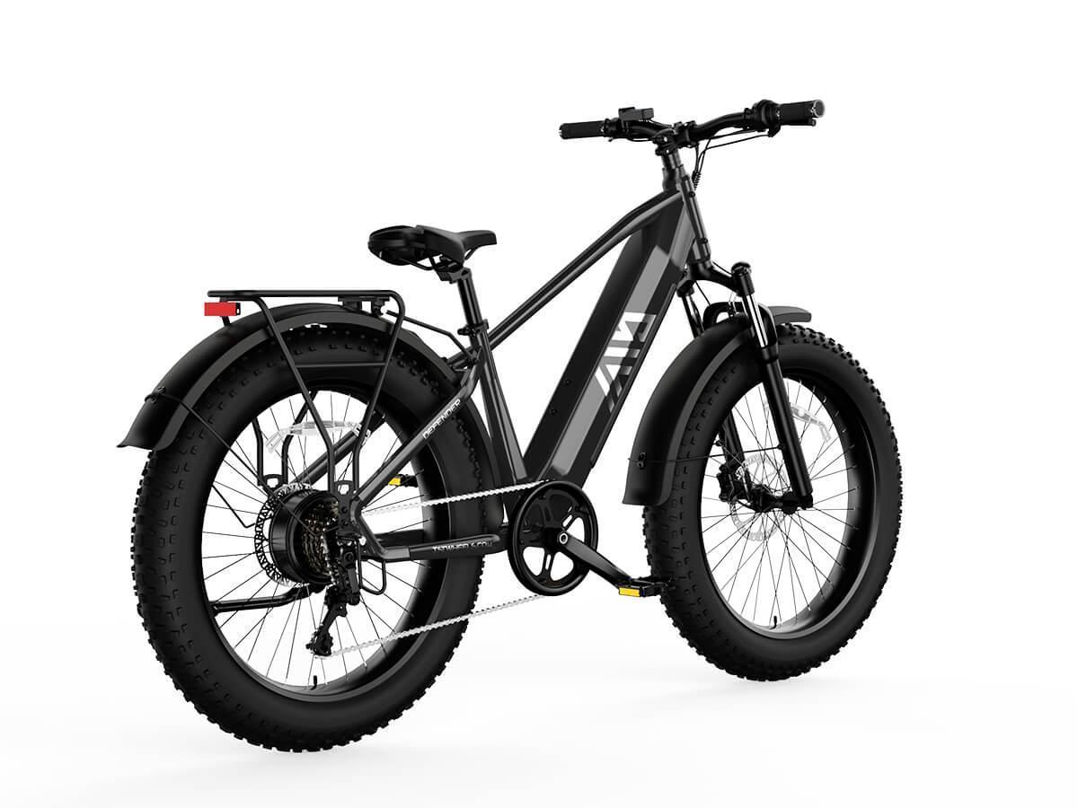 Electric Bike
