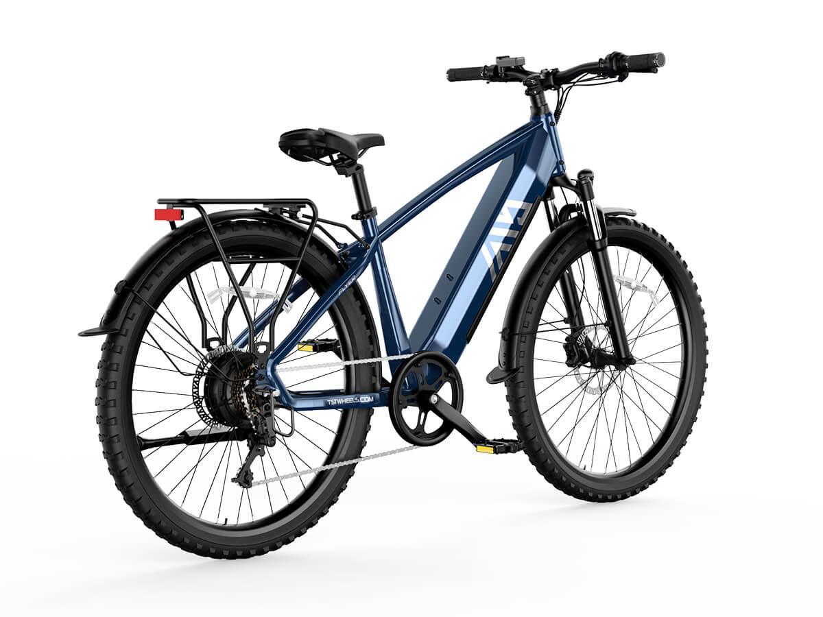 Combo Sale Electric Bike