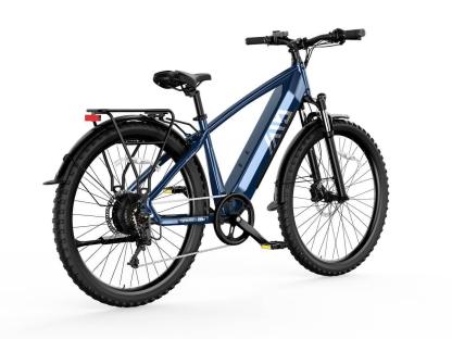 Combo Sale Electric Bike