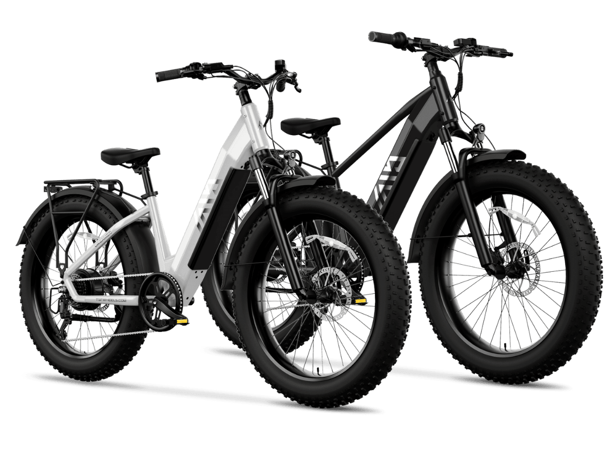 TST Combo Sale Defender+Dreamer 26" Fat Tire Ebike For Adult