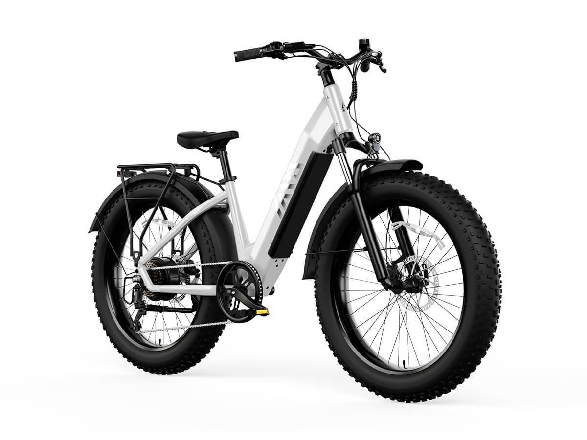 Electric Bike