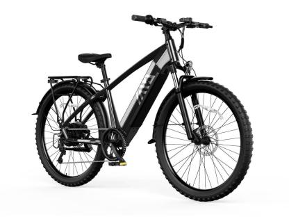 Combo Sale Electric Bike