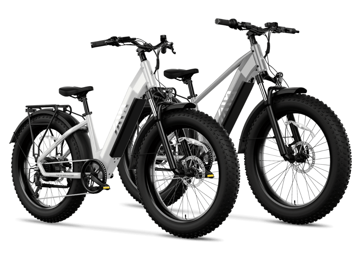 Combo Sale Electric Bike