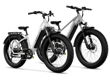Combo Sale Electric Bike