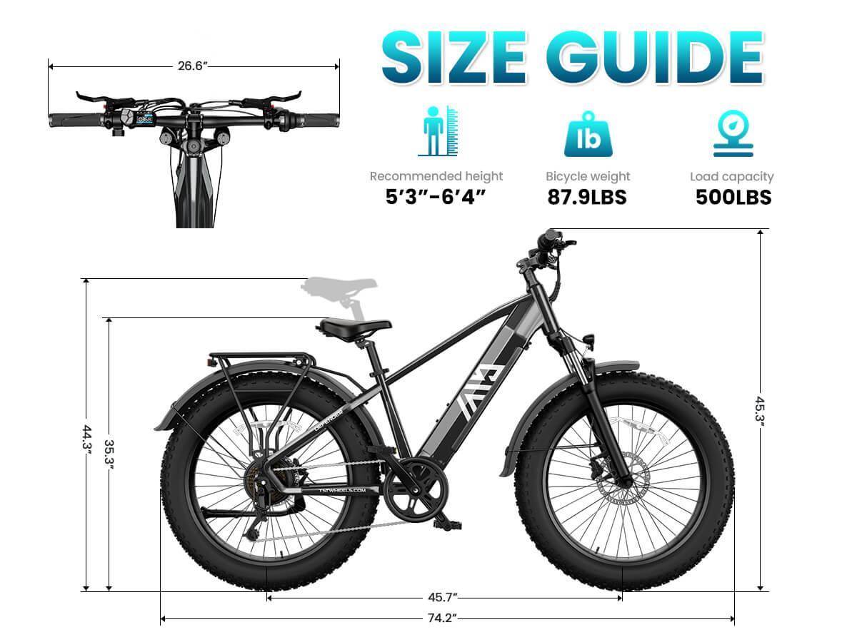 Combo Sale Electric Bike