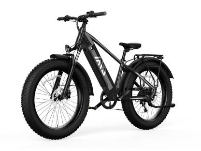 Combo Sale Electric Bike