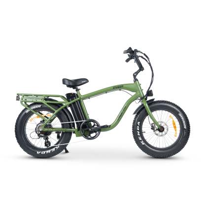 Electric Bike