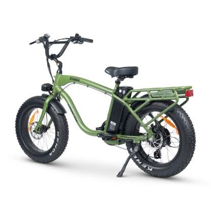 Electric Bike