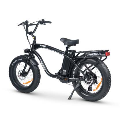 Electric Bike