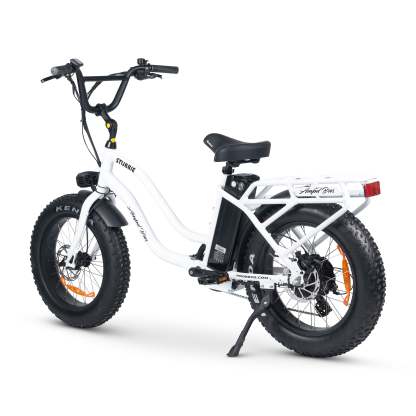 Electric Bike