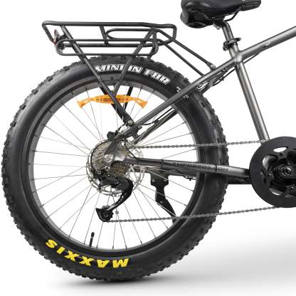 Electric Mountain Bike