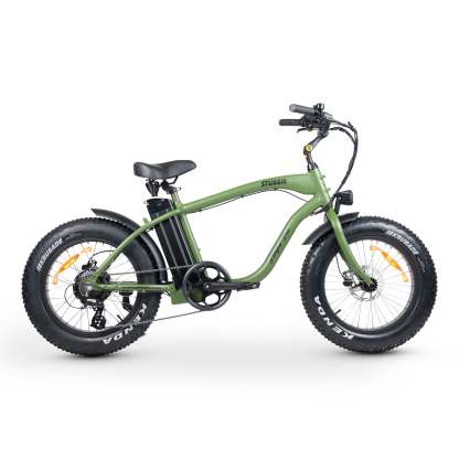 Electric Bike