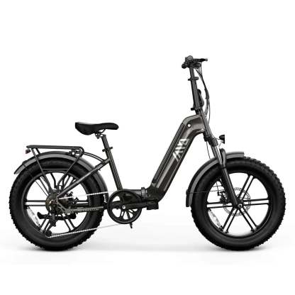 Electric Bike