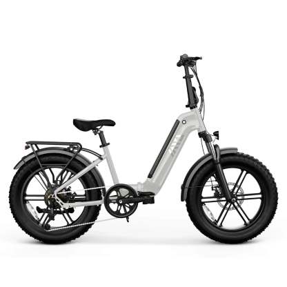 Electric Bike