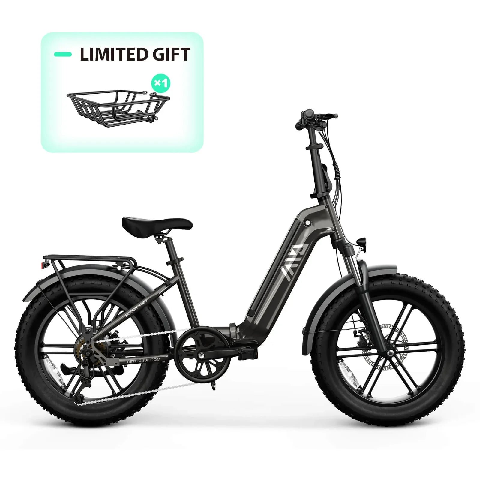 Electric Bike