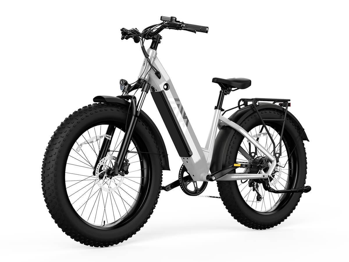 Electric Bike