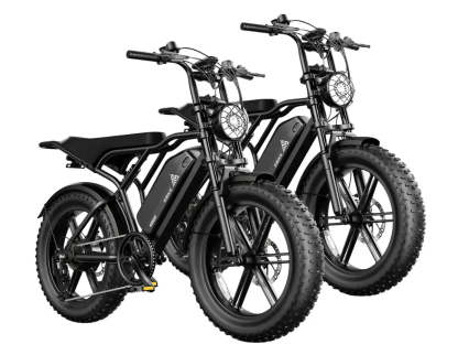 TST® Combo Sale R002 20" Full Suspension Moped-Style Ebike