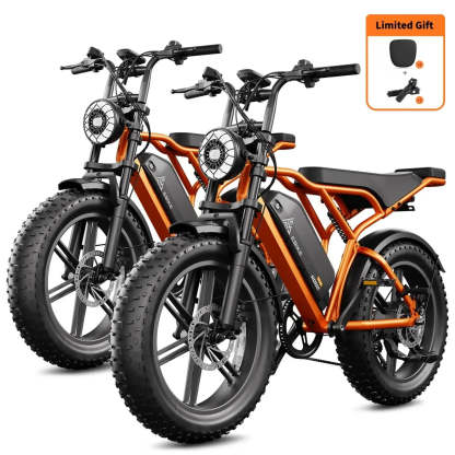 TST® Combo Sale R002 20" Full Suspension Moped-Style Ebike