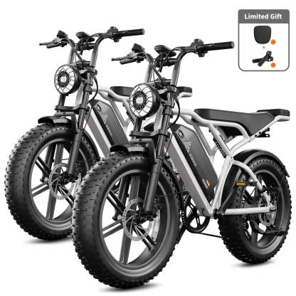 TST® Combo Sale R002 20" Full Suspension Moped-Style Ebike