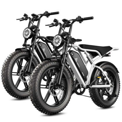 TST® Combo Sale R002 20" Full Suspension Moped-Style Ebike