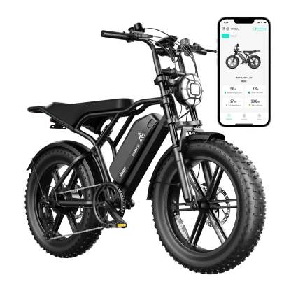 Electric Bike