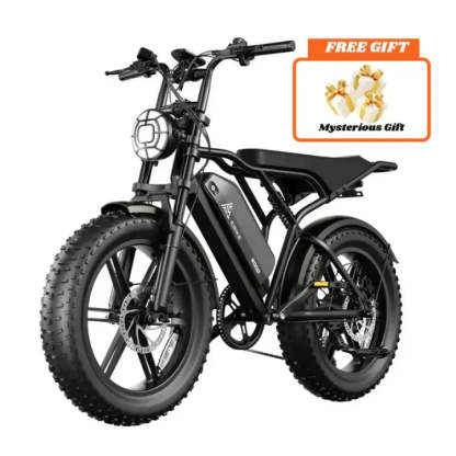 Electric Bike
