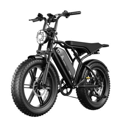 Electric Bike