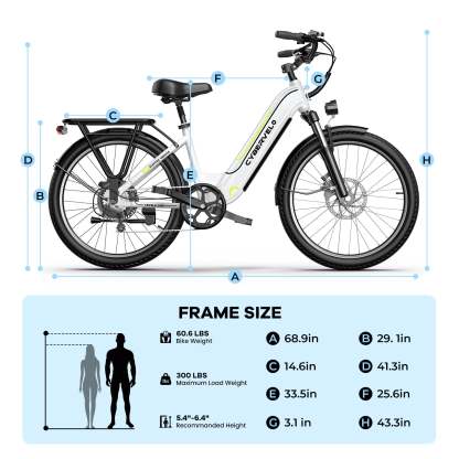 Electric Bike 
