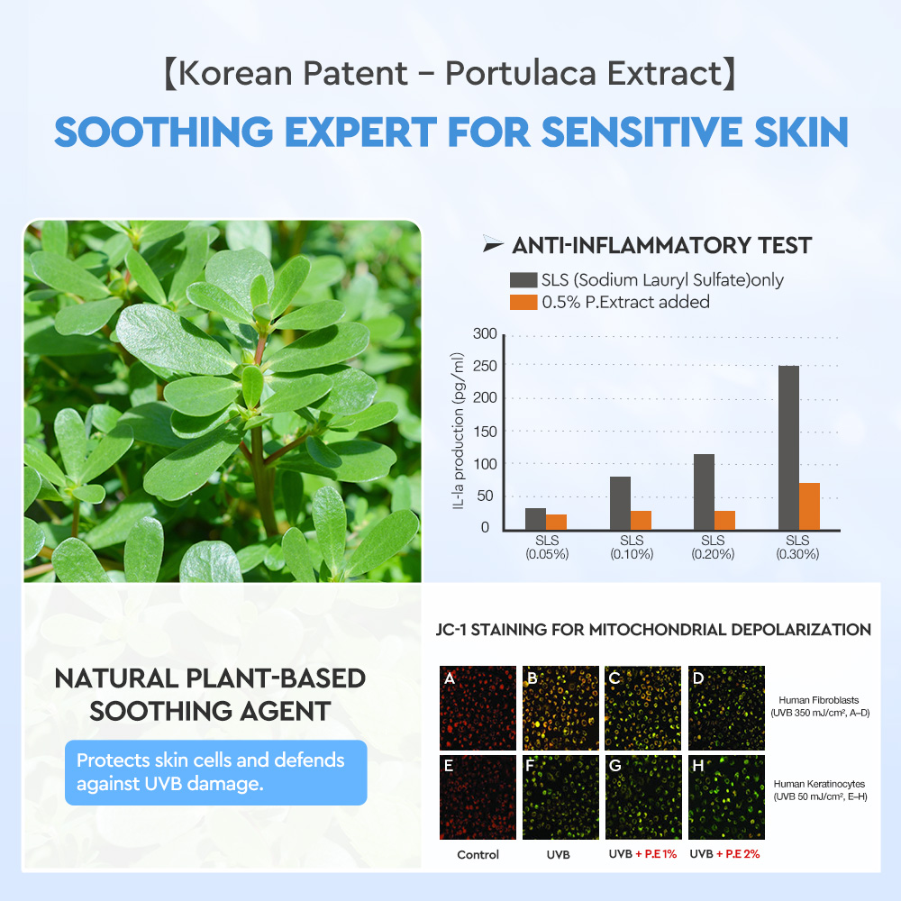 Edelweiss Niacinamide  Brightening Sunscreen  Body Serum