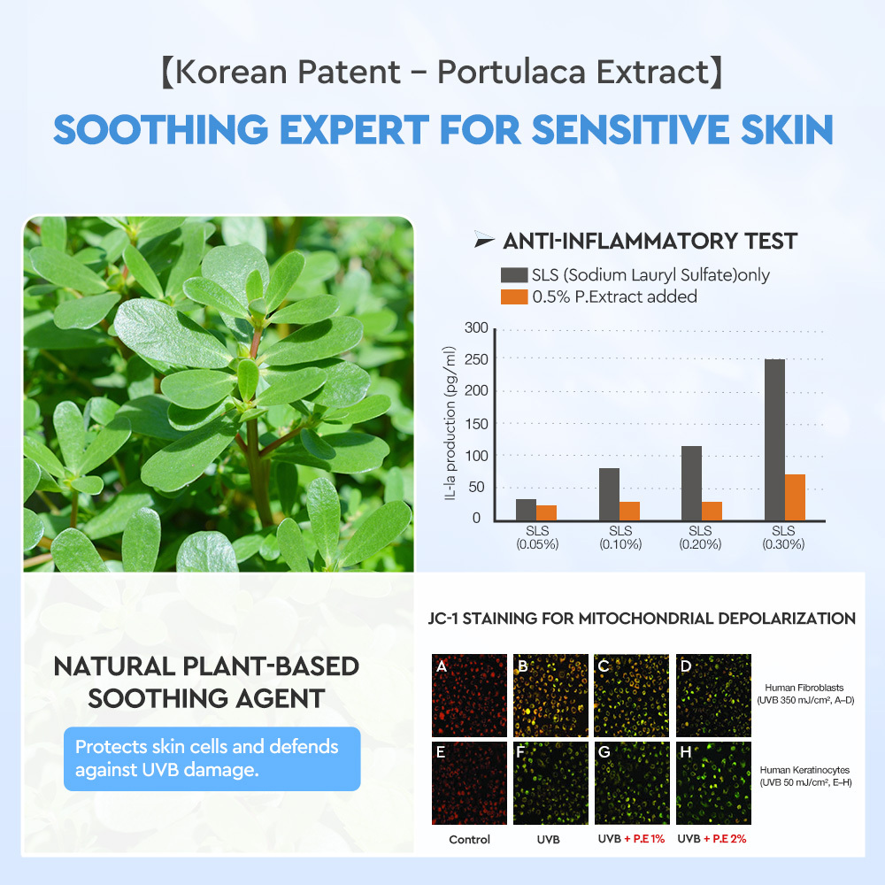 Edelweiss Niacinamide  Brightening Sunscreen  Body Serum