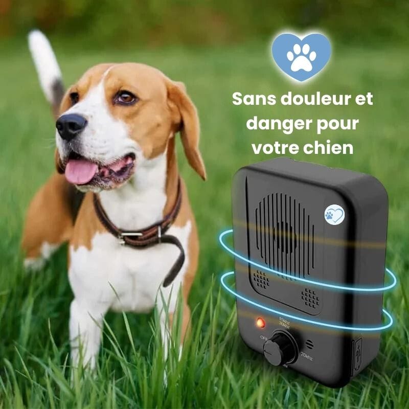 Dispositif anti-aboiement pour chien