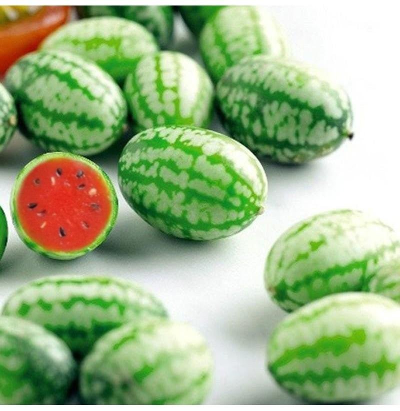 ✨ LAST DAY OF SALE -50% - SMALL 🍉 BIG TASTE! THUMB WATERMELON - YOUR MINIATURE SNACK ADVENTURE! 🎉