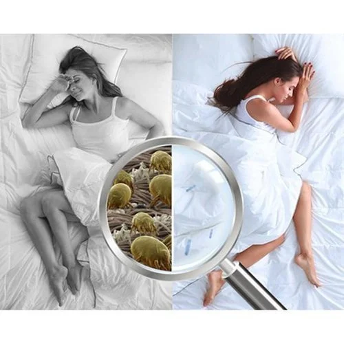 🔥Last Day Promotion - 49% OFF🔥Dust Mite Killing Pad