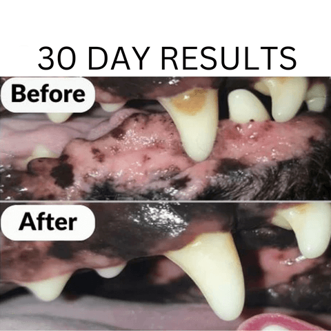 Dog Tooth-Brush (Regular and Extreme Chew)