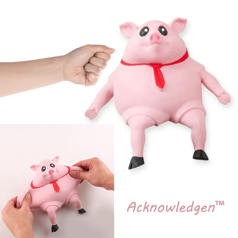 🔥Piggy Squeeze Toy®