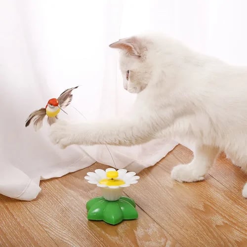 🔥Last day 49% OFF-Electric bird teasing cat toy