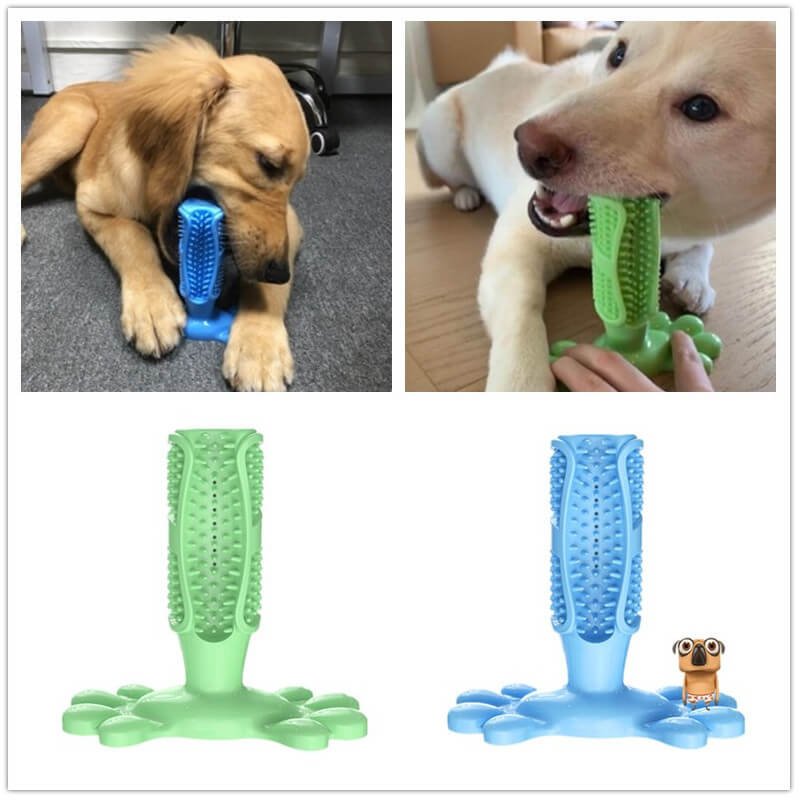 Dog Tooth-Brush (Regular and Extreme Chew)