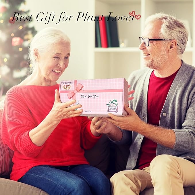 Air Planter Bulb Glass Vase Metal Swivel Holder Retro Tabletop for Hydroponics Home Garden Office Decoration - 3 Bulb Vase