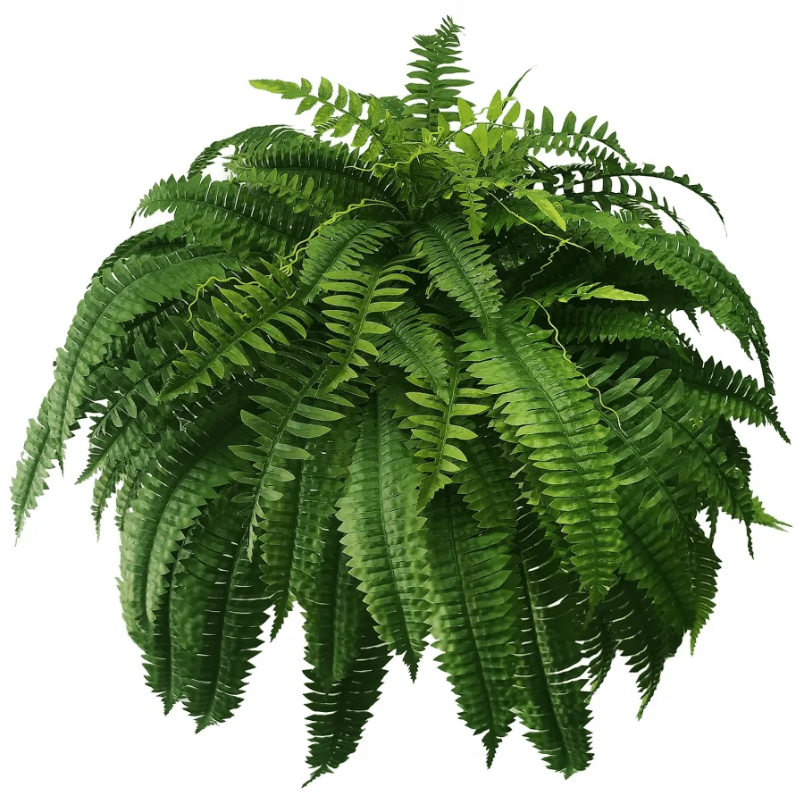 ✨This Week's Special Price $24.99💥UV Resistant Lifelike Artificial Boston Fern