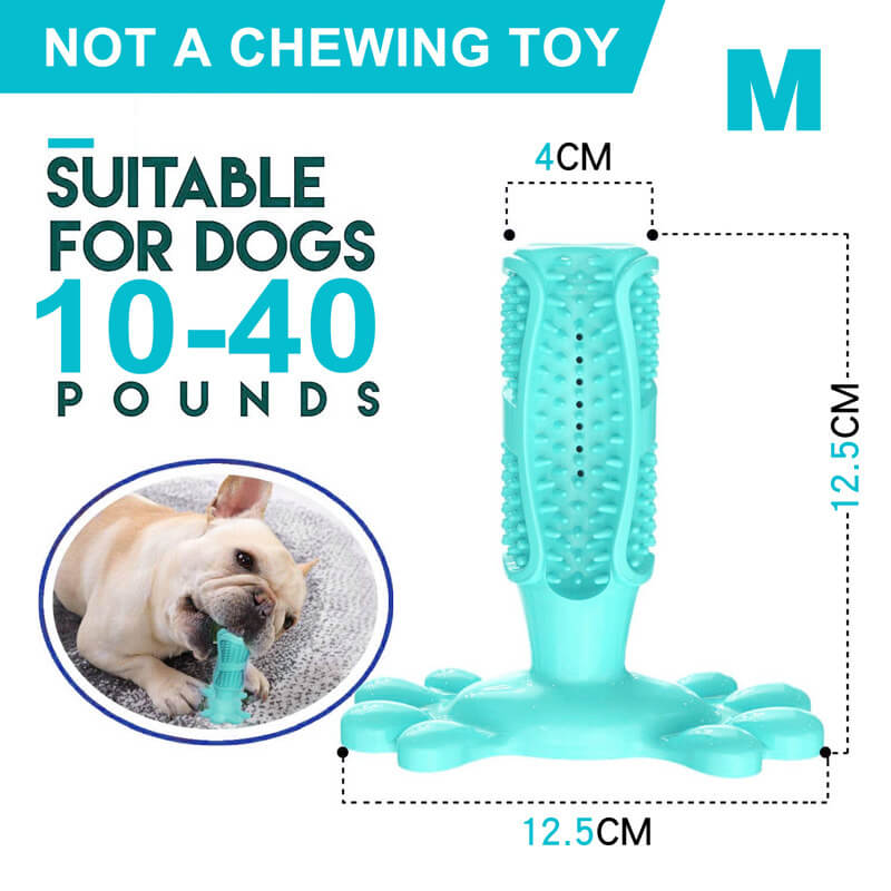 Dog Tooth-Brush (Regular and Extreme Chew)