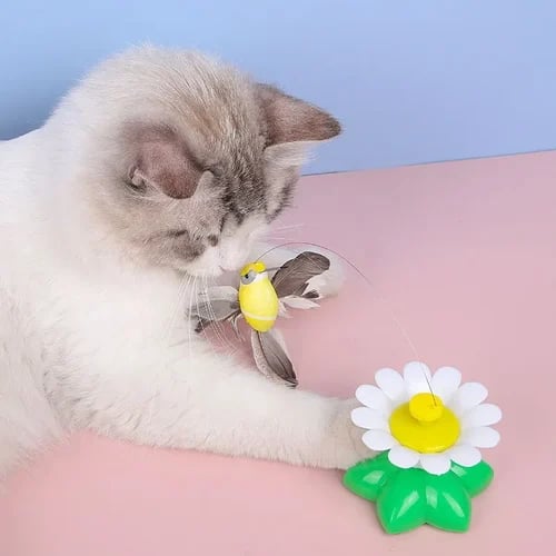 🔥Last day 49% OFF-Electric bird teasing cat toy